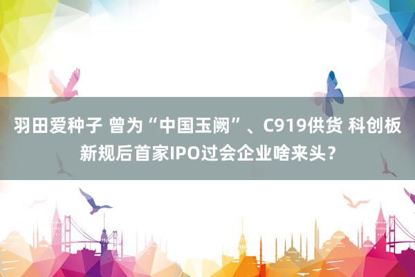 羽田爱种子 曾为“中国玉阙”、C919供货 科创板新规后首家IPO过会企业啥来头？