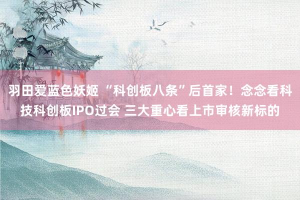 羽田爱蓝色妖姬 “科创板八条”后首家！念念看科技科创板IPO过会 三大重心看上市审核新标的