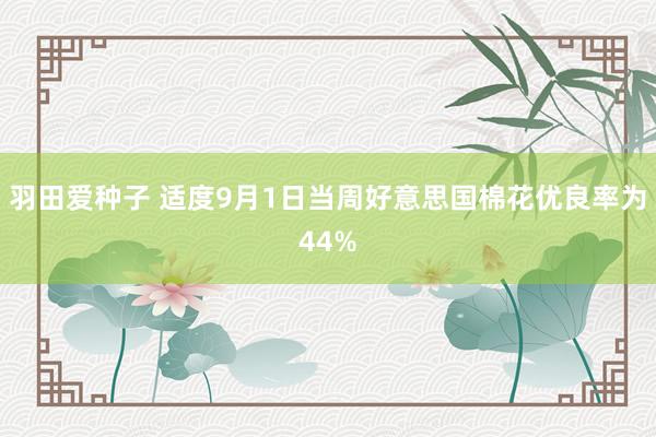 羽田爱种子 适度9月1日当周好意思国棉花优良率为44%
