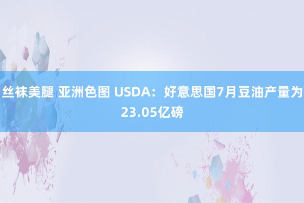 丝袜美腿 亚洲色图 USDA：好意思国7月豆油产量为23.05亿磅