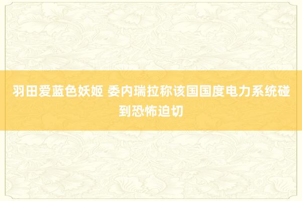 羽田爱蓝色妖姬 委内瑞拉称该国国度电力系统碰到恐怖迫切