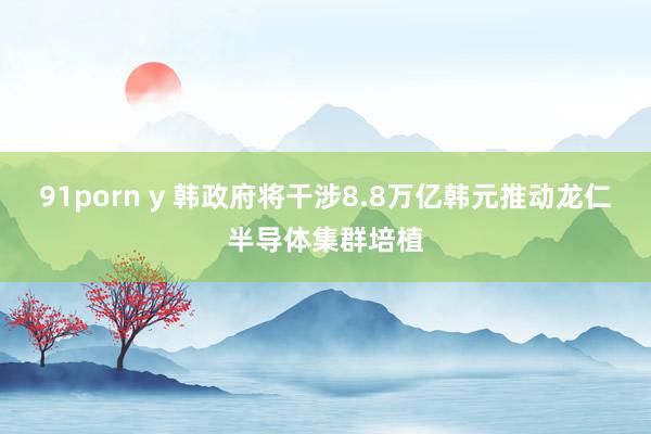 91porn y 韩政府将干涉8.8万亿韩元推动龙仁半导体集群培植