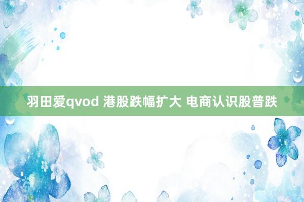 羽田爱qvod 港股跌幅扩大 电商认识股普跌
