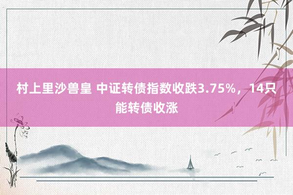 村上里沙兽皇 中证转债指数收跌3.75%，14只能转债收涨