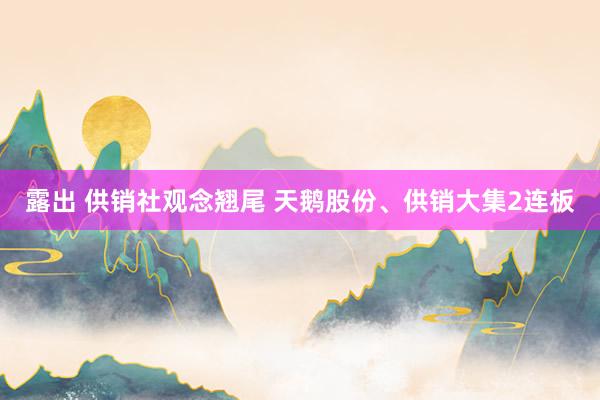 露出 供销社观念翘尾 天鹅股份、供销大集2连板
