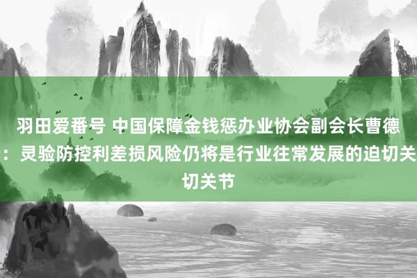 羽田爱番号 中国保障金钱惩办业协会副会长曹德云：灵验防控利差损风险仍将是行业往常发展的迫切关节