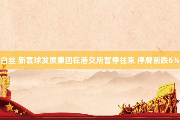 白丝 新寰球发展集团在港交所暂停往来 停牌前跌6%
