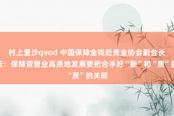 村上里沙qvod 中国保障金钱贬责业协会副会长曹德云：保障资管业高质地发展要把合手好“新”和“质”的关联