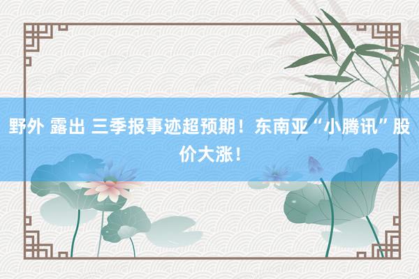 野外 露出 三季报事迹超预期！东南亚“小腾讯”股价大涨！