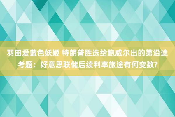 羽田爱蓝色妖姬 特朗普胜选给鲍威尔出的第沿途考题：好意思联储后续利率旅途有何变数?