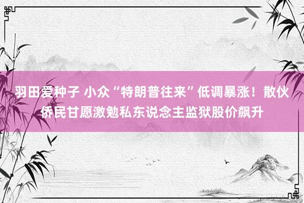 羽田爱种子 小众“特朗普往来”低调暴涨！散伙侨民甘愿激勉私东说念主监狱股价飙升