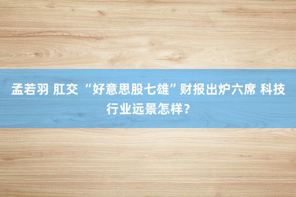 孟若羽 肛交 “好意思股七雄”财报出炉六席 科技行业远景怎样？