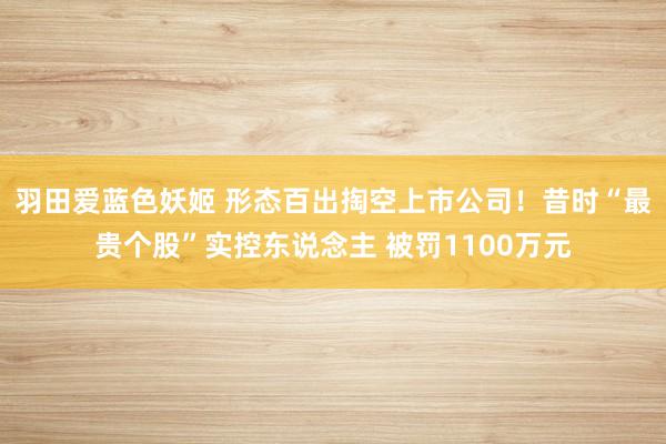 羽田爱蓝色妖姬 形态百出掏空上市公司！昔时“最贵个股”实控东说念主 被罚1100万元