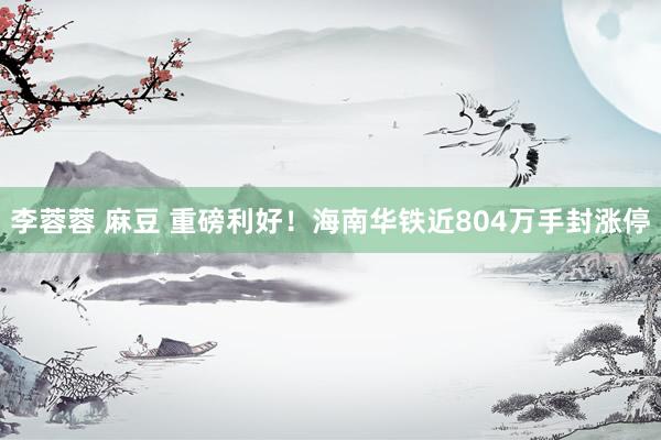 李蓉蓉 麻豆 重磅利好！海南华铁近804万手封涨停