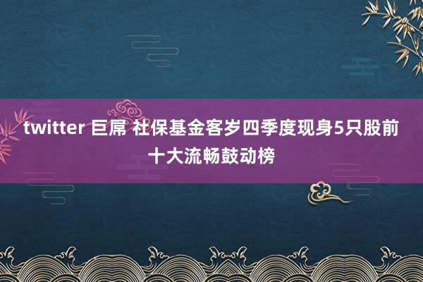 twitter 巨屌 社保基金客岁四季度现身5只股前十大流畅鼓动榜