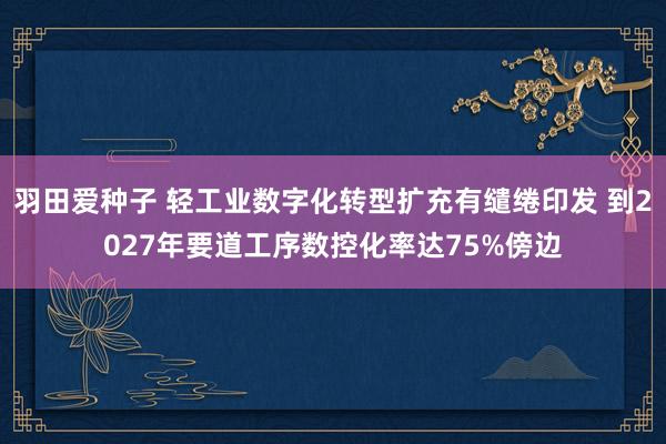 羽田爱种子 轻工业数字化转型扩充有缱绻印发 到2027年要道工序数控化率达75%傍边