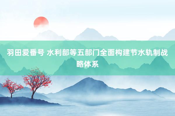 羽田爱番号 水利部等五部门全面构建节水轨制战略体系