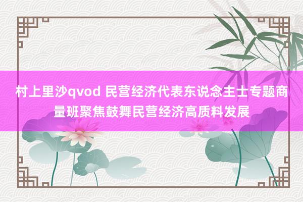 村上里沙qvod 民营经济代表东说念主士专题商量班聚焦鼓舞民营经济高质料发展