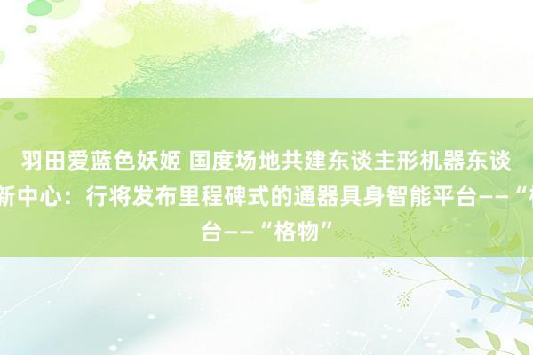 羽田爱蓝色妖姬 国度场地共建东谈主形机器东谈主翻新中心：行将发布里程碑式的通器具身智能平台——“格物”