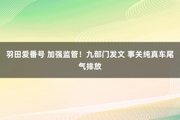 羽田爱番号 加强监管！九部门发文 事关纯真车尾气排放