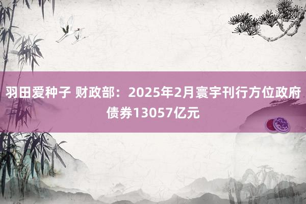 羽田爱种子 财政部：2025年2月寰宇刊行方位政府债券13057亿元
