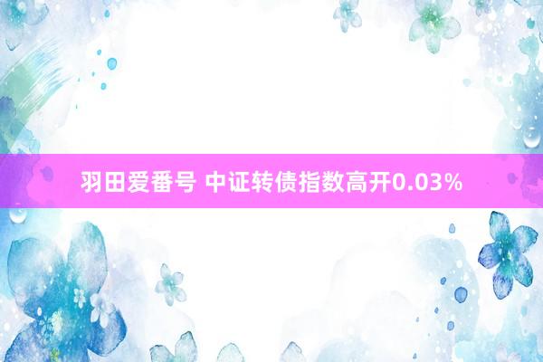 羽田爱番号 中证转债指数高开0.03%